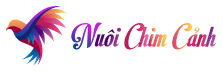 Nuôi Chim Cảnh - Logo